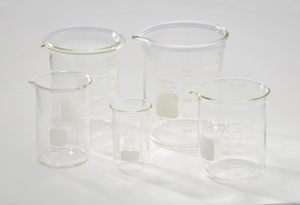 GLASS BEAKER WITH LID- 600 ML